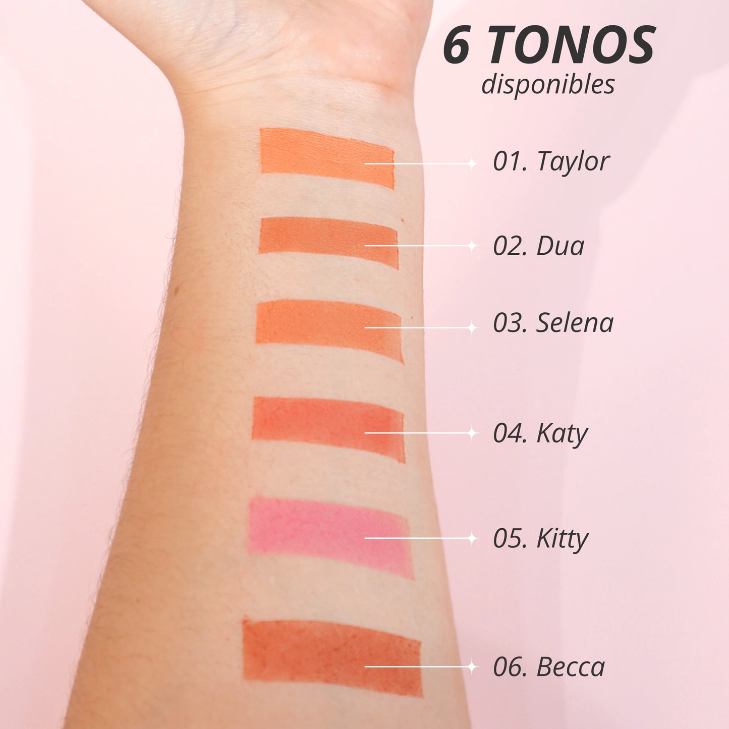 RUBOR MATTE BONITA ANI-K